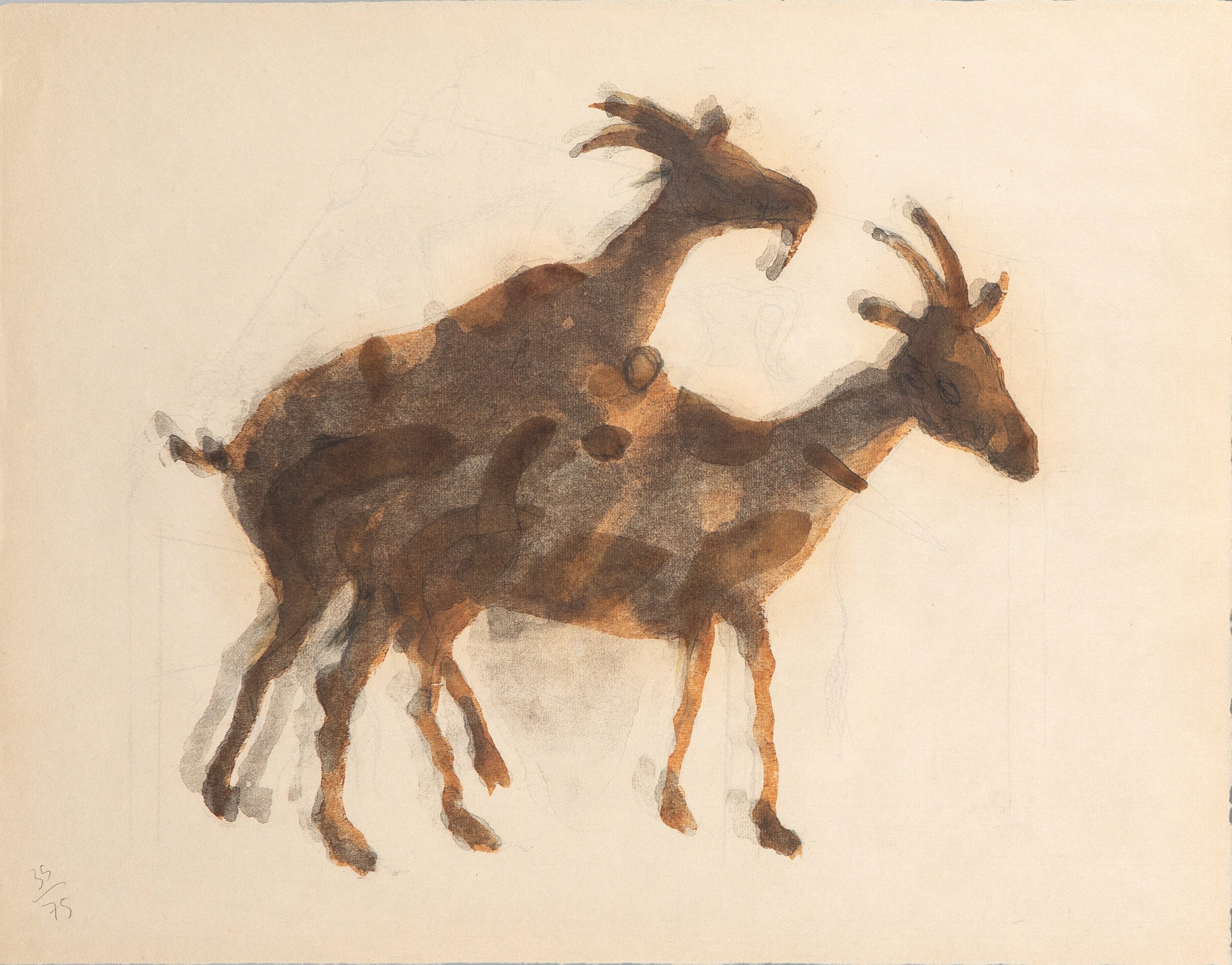 MIQUEL BARCELÓ (Felanitx, Mallorca 1957)
"Acróstico de cabras I".1991
Litografía, xilografía a la...