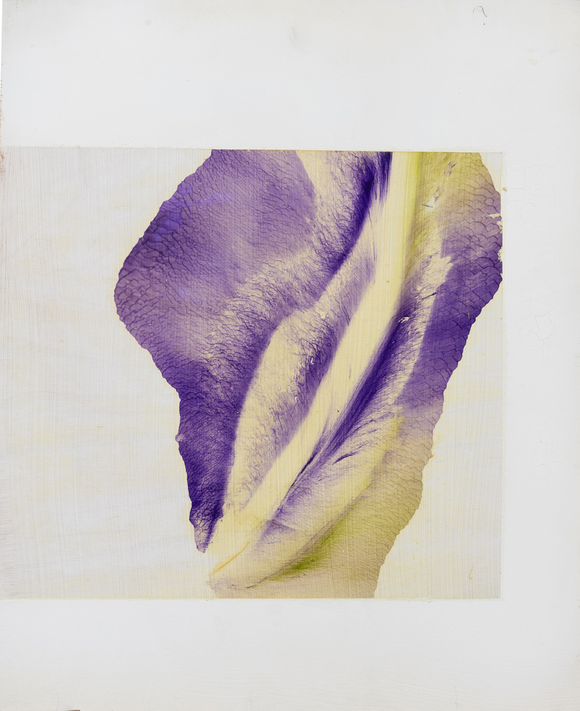 ANTONIO MURADO (Lugo1964)
"Violeta"
Óleo y acrílico sobre  tabla
Firmado al dorso 
Medidas: 37,5 x...