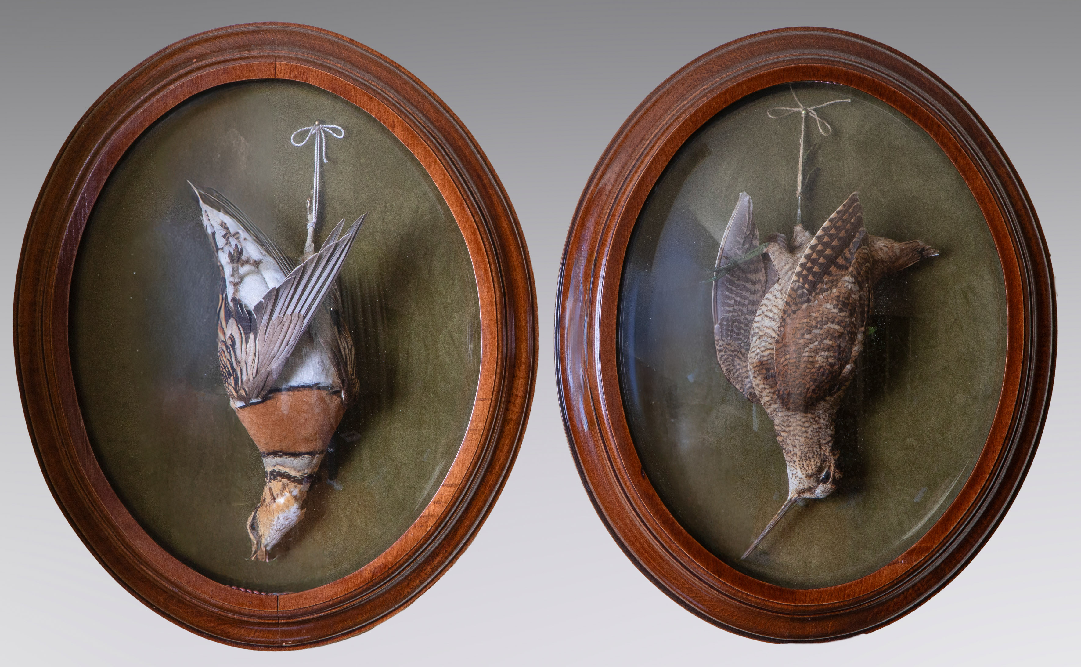ESCUELA ESPAÑOLA S. XX.
"Pareja de aves de caza"
Medidas: 52 x 43 cm.