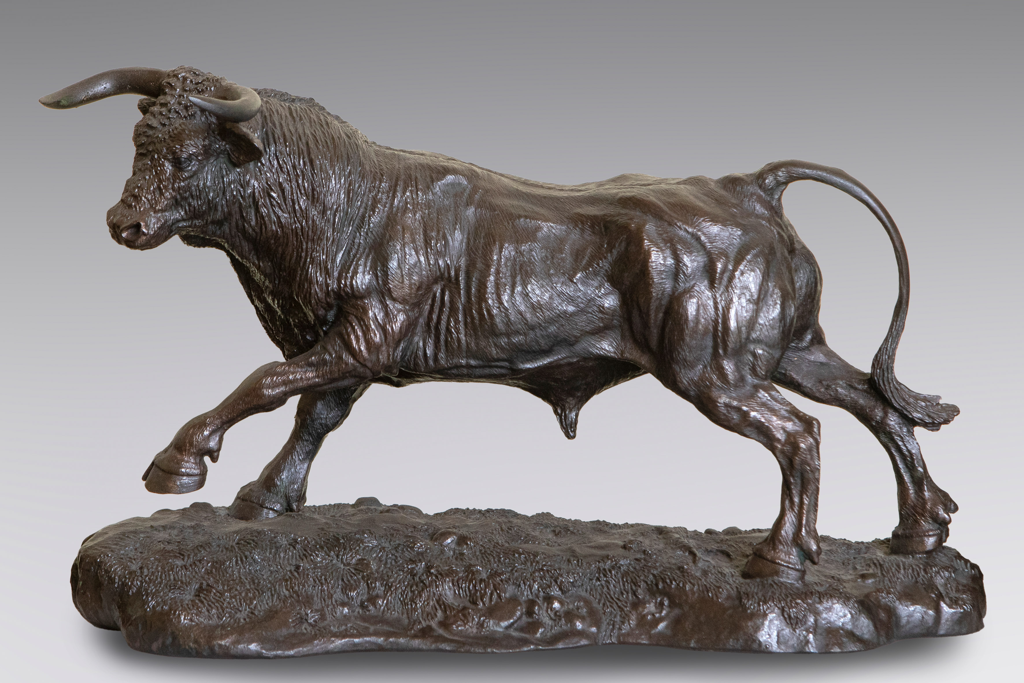 "Toro" Escultura en bronce pavonado. 
Medidas: 23 x 35 cm.