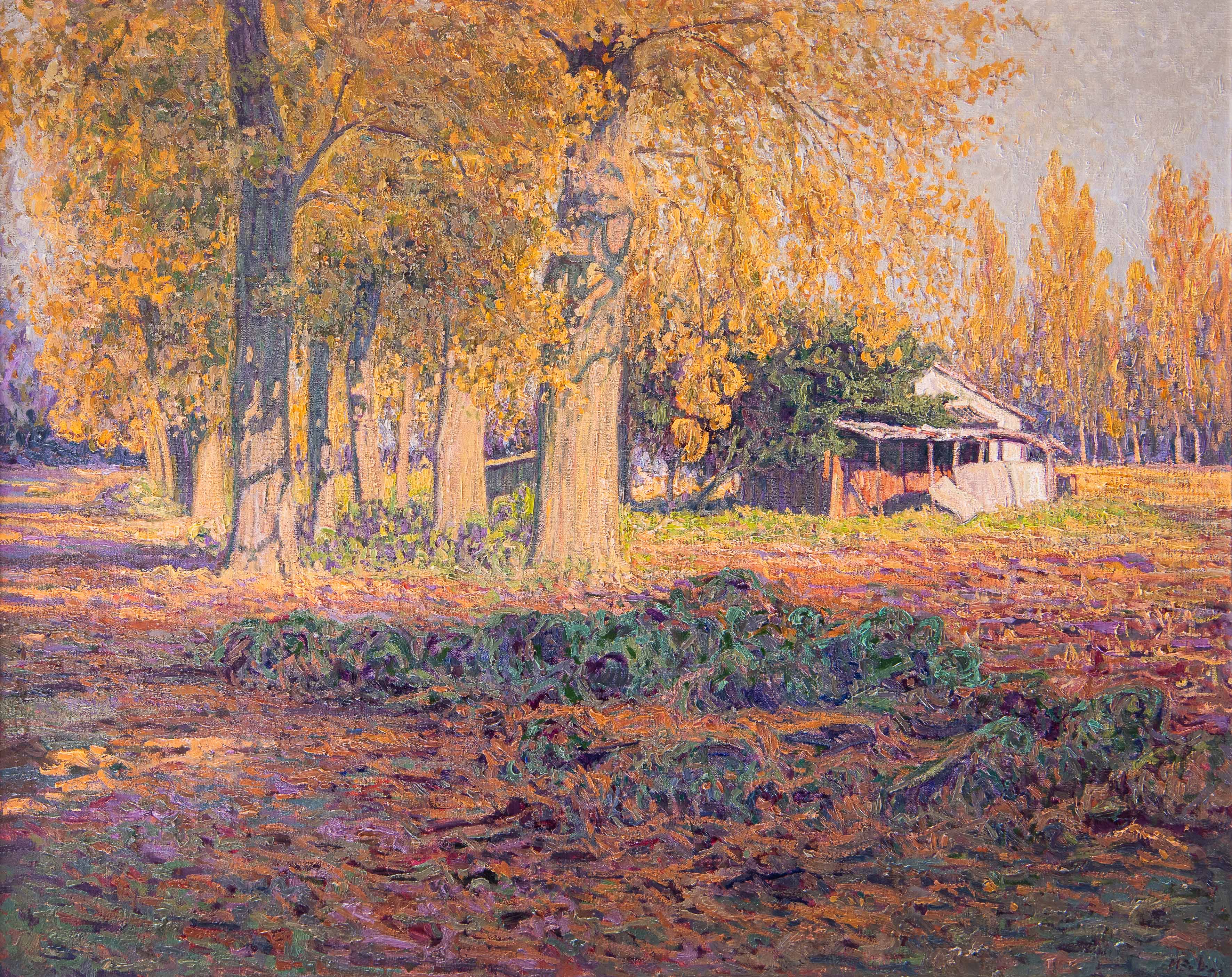 ESCUELA ESPAÑOLA, S. XX
“Bosque en otoño”
Óleo sobre lienzo.
Medidas: