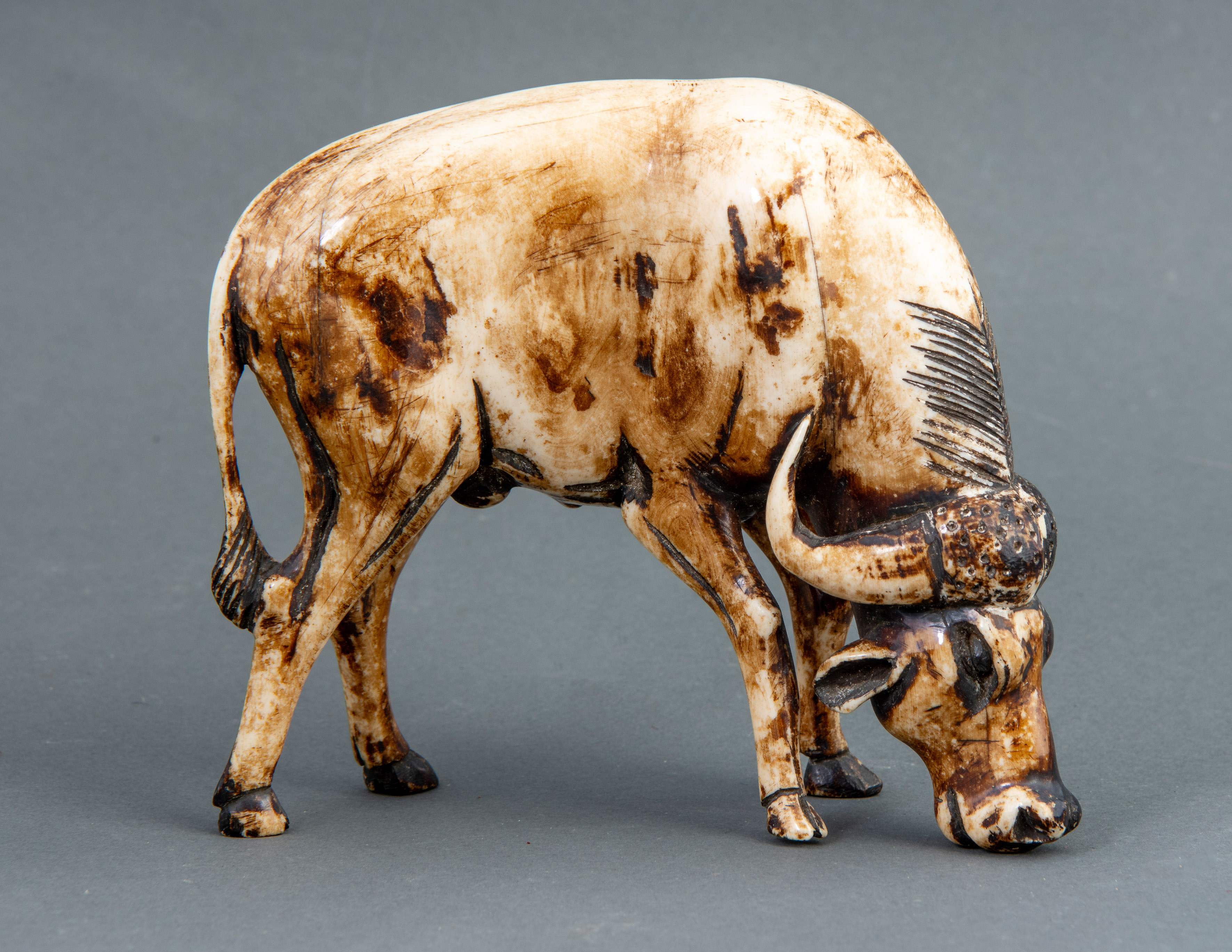 ESCUELA CENTROEUROPEA
"Búfalo africano"
Marfil tallado.
Medidas: 12'5 x 13 cm.
Con certificado...