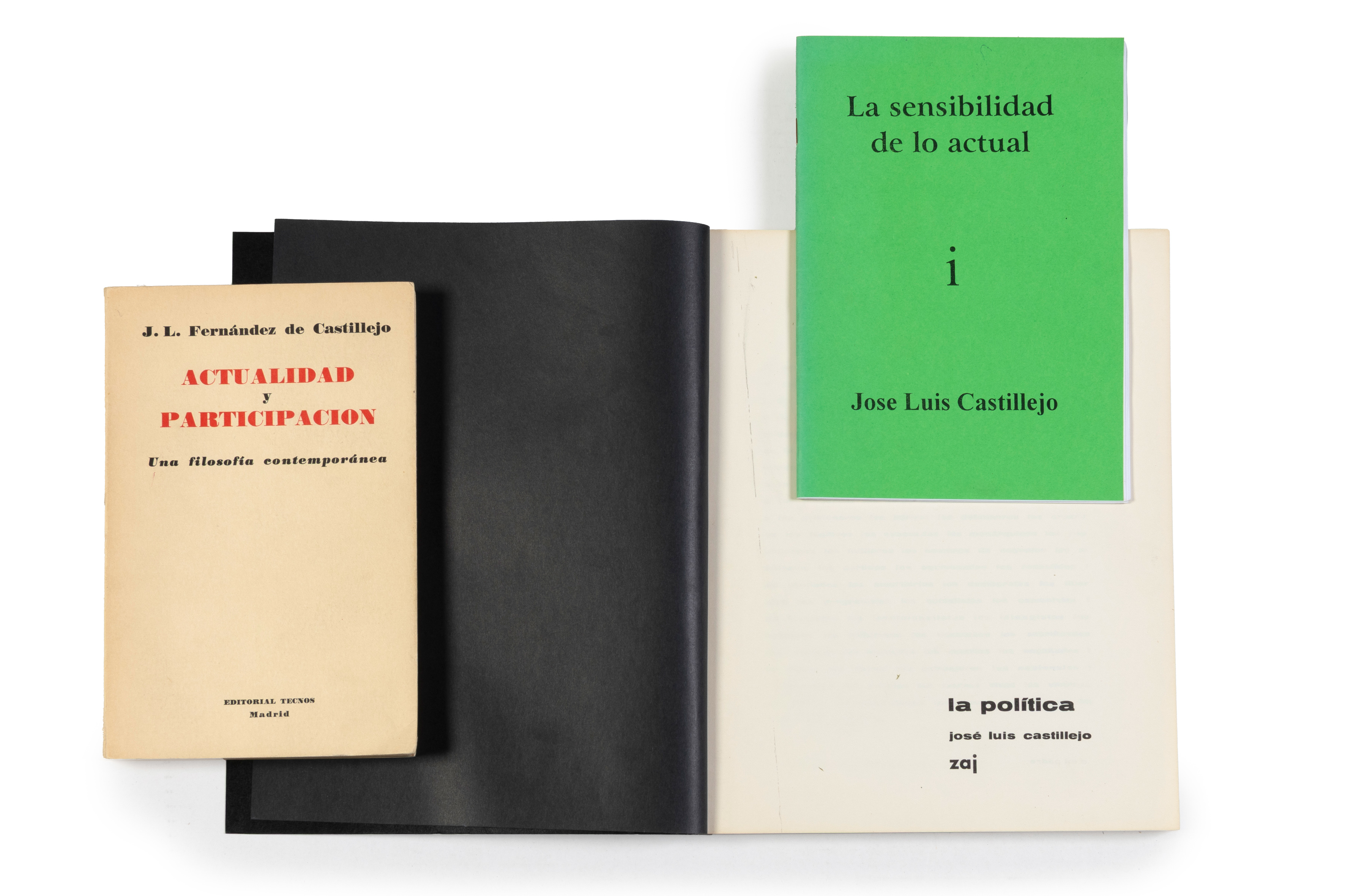 JOSE LUIS CASTILLEJO (Sevilla 1930-Houston 2014)
Conjunto de 3 libros:
-"La política", Madrid,...