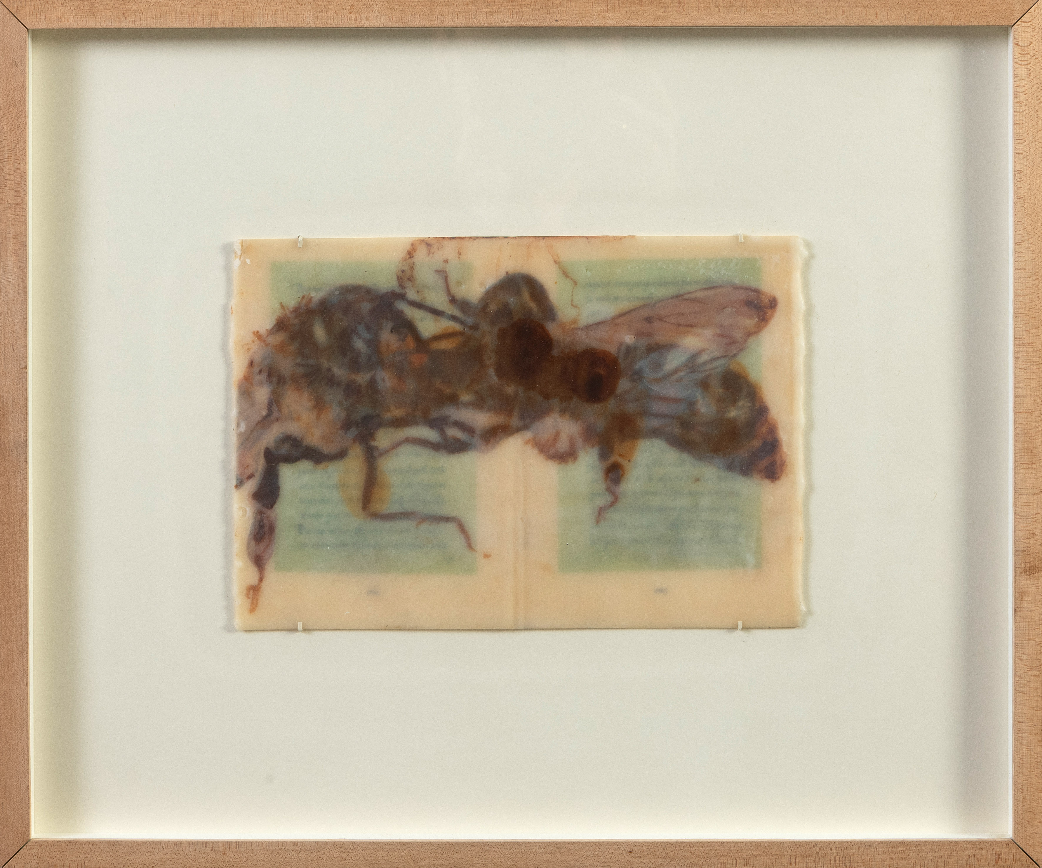 JOSÉ MARÍA SICILIA (Madrid 1954)
"Manuscrito Sanlúcar de Barrameda". 2000
Óleo, y papel en cera de...